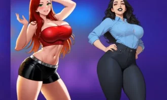 The Swapping Adventure cover