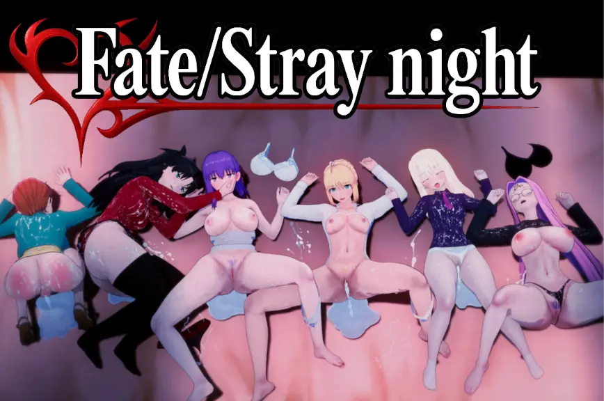 Fate/Stray Night cover