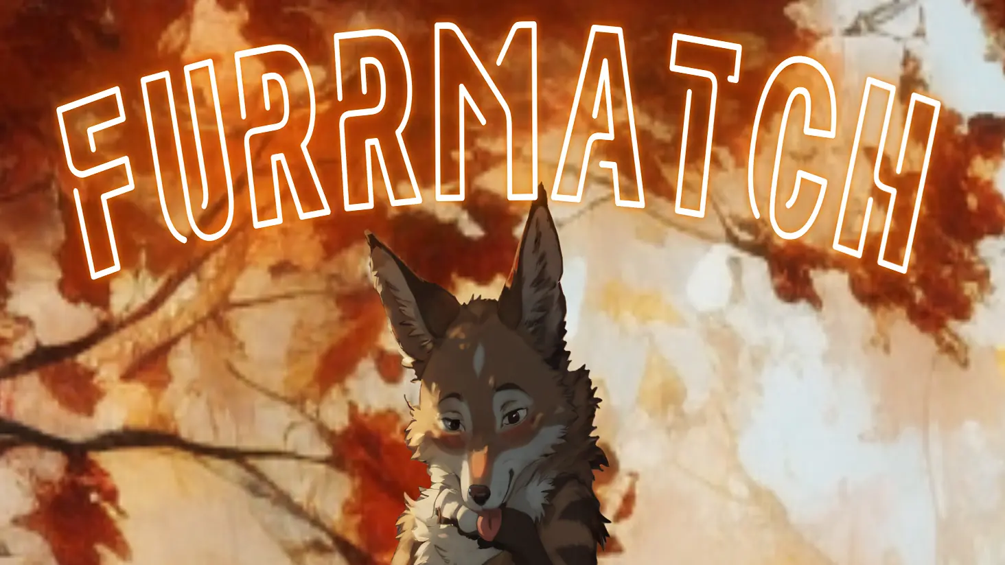 Furrmatch cover