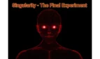 Singularity - The Final Experiment