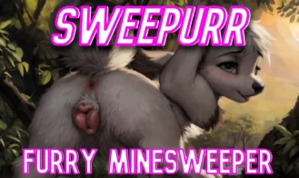 Sweepurr cover