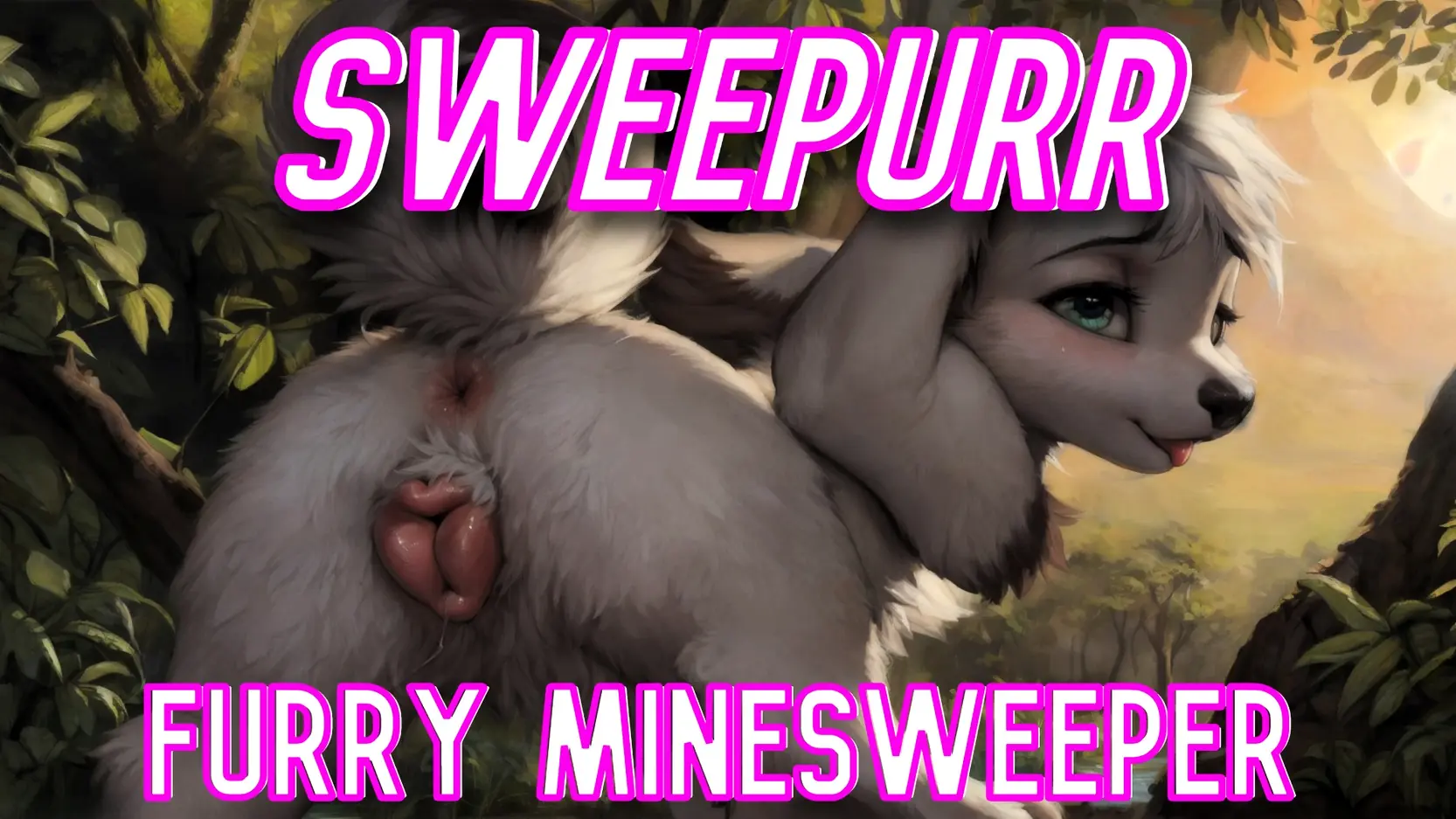 Sweepurr cover