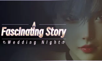 A fascinating story : Wedding Night cover