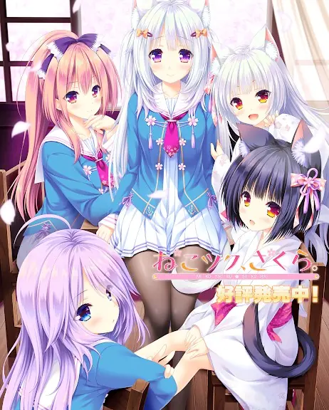 Nekotsuku: Sakura cover