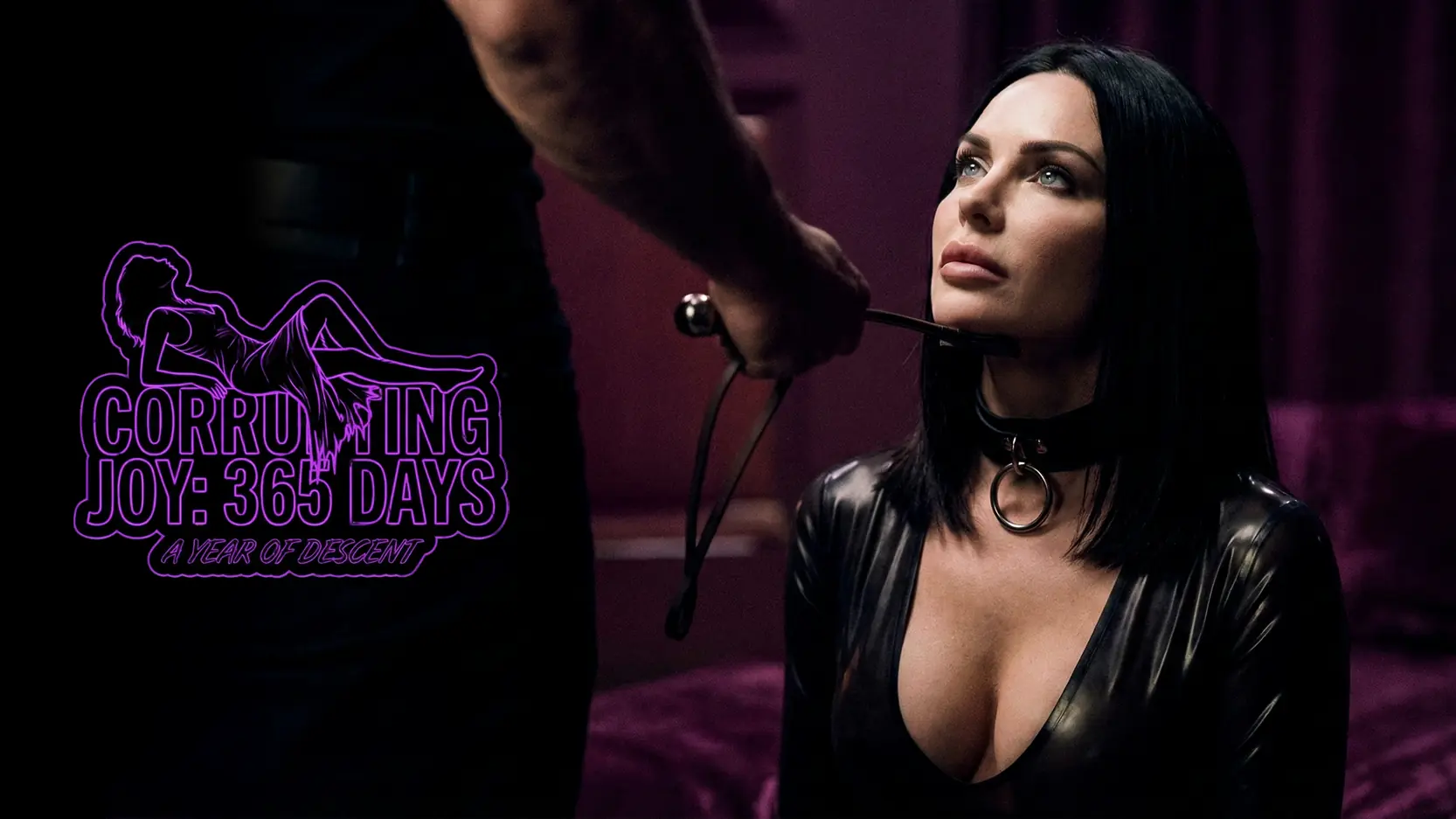 Corrupting Joy: 365 Days cover