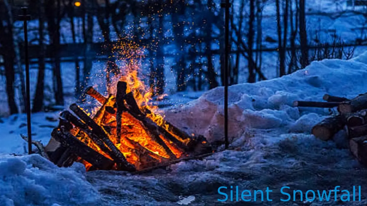 Silent Snowfall cover