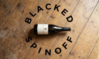 Spin to Win - Blacked Spinoff cover