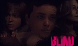 Blind cover