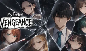 My Perfect Vengeance cover