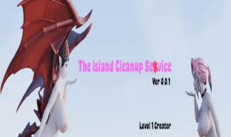 The Island Cleanup Service cover
