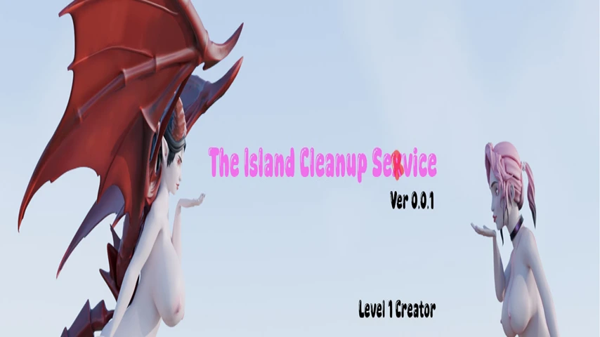 The Island Cleanup Service cover